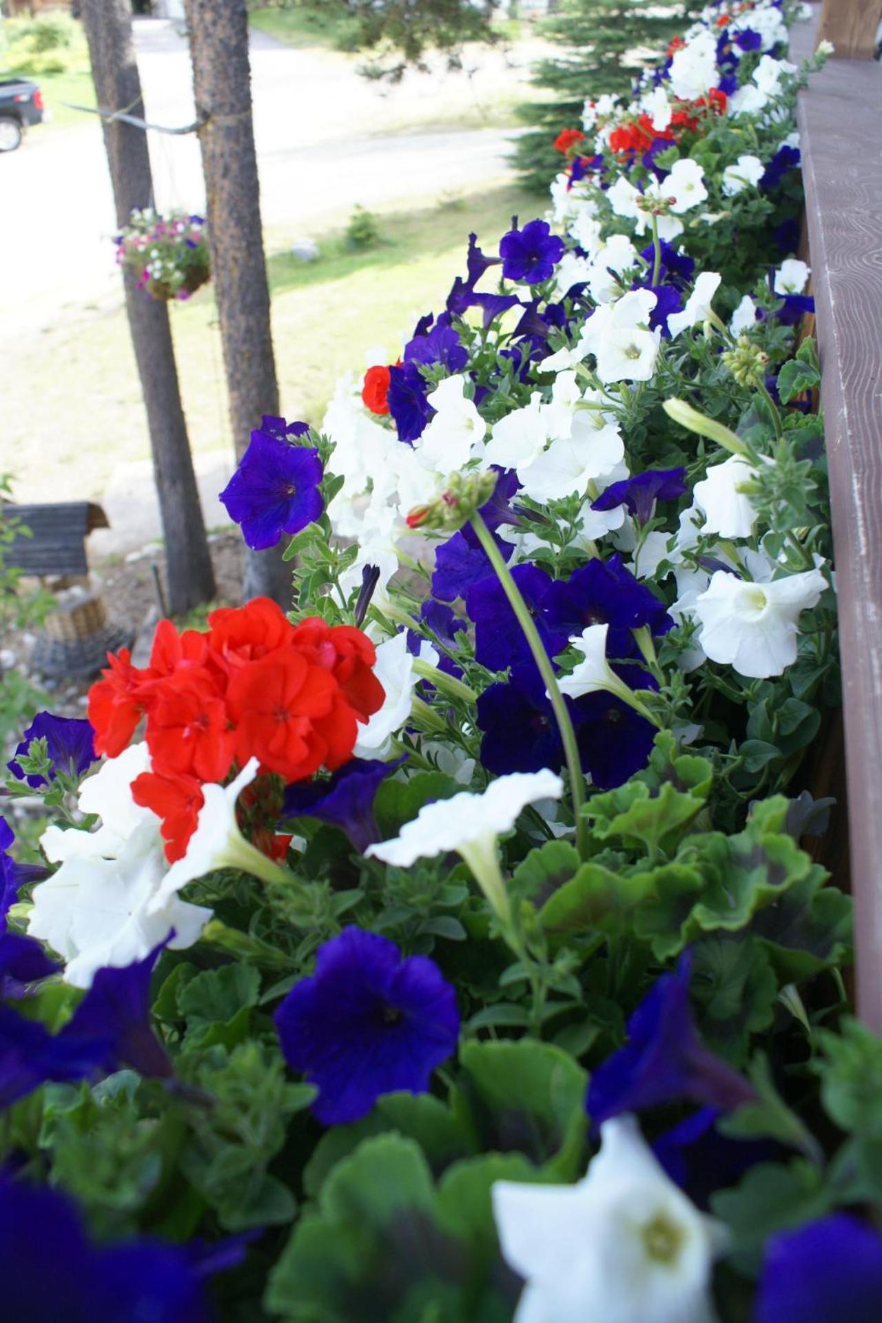 Alpenglow Bed And Breakfast Kimberley Εξωτερικό φωτογραφία