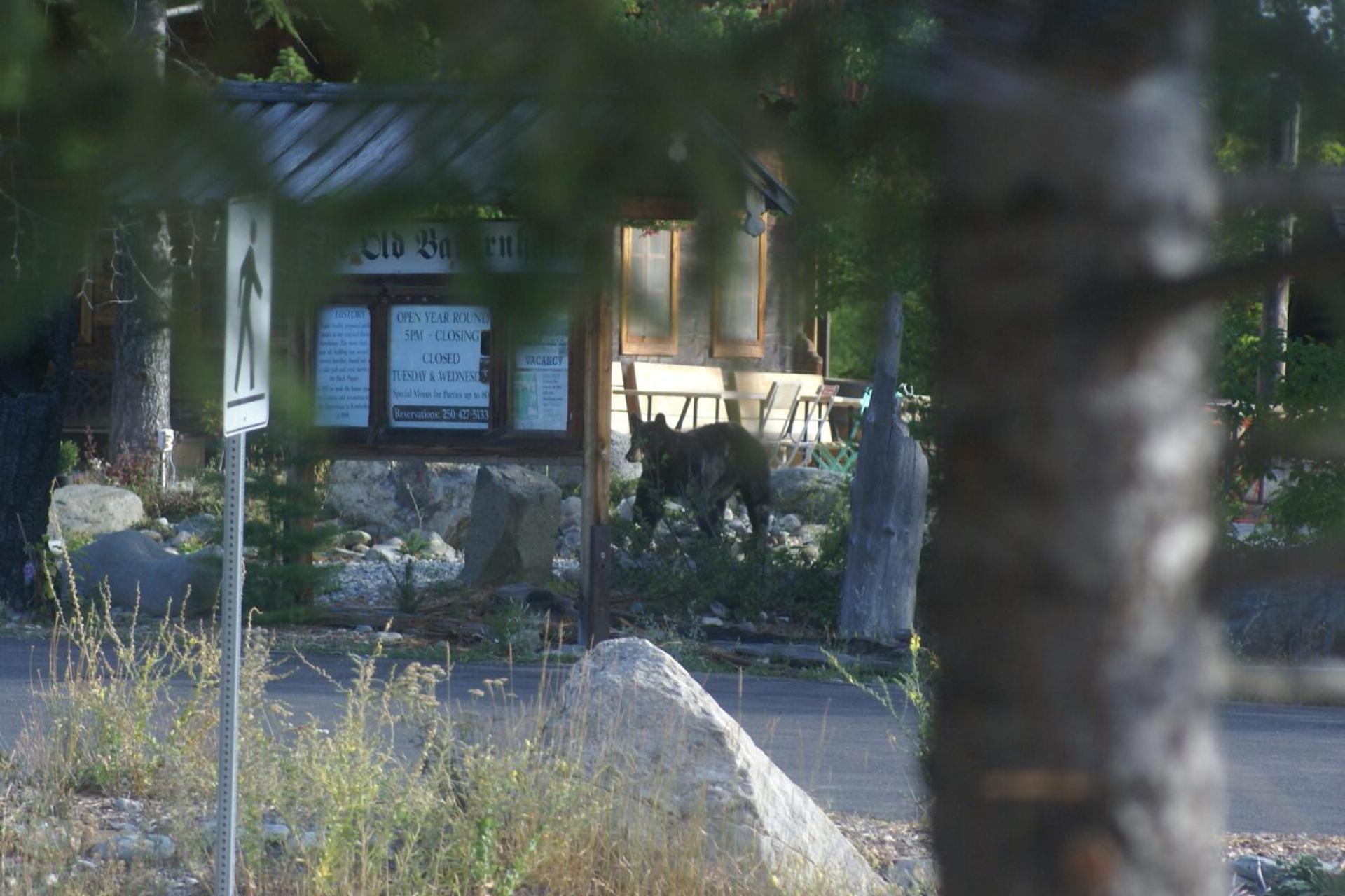 Alpenglow Bed And Breakfast Kimberley Εξωτερικό φωτογραφία